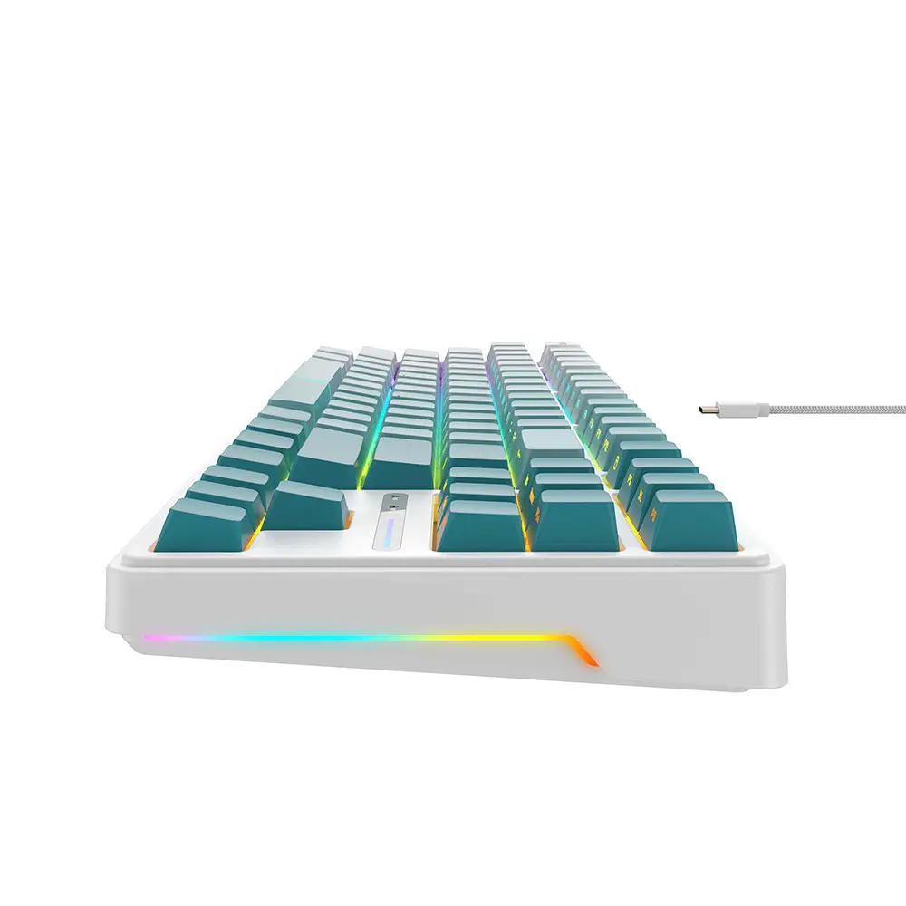 HAVIT KB901L – CLAVIER MÉCANIQUE GAMING – RGB BACKLIT – SWITCHES RED – 88 TOUCHES – ANTI-GHOSTING – DESIGN GAMING – BLACK