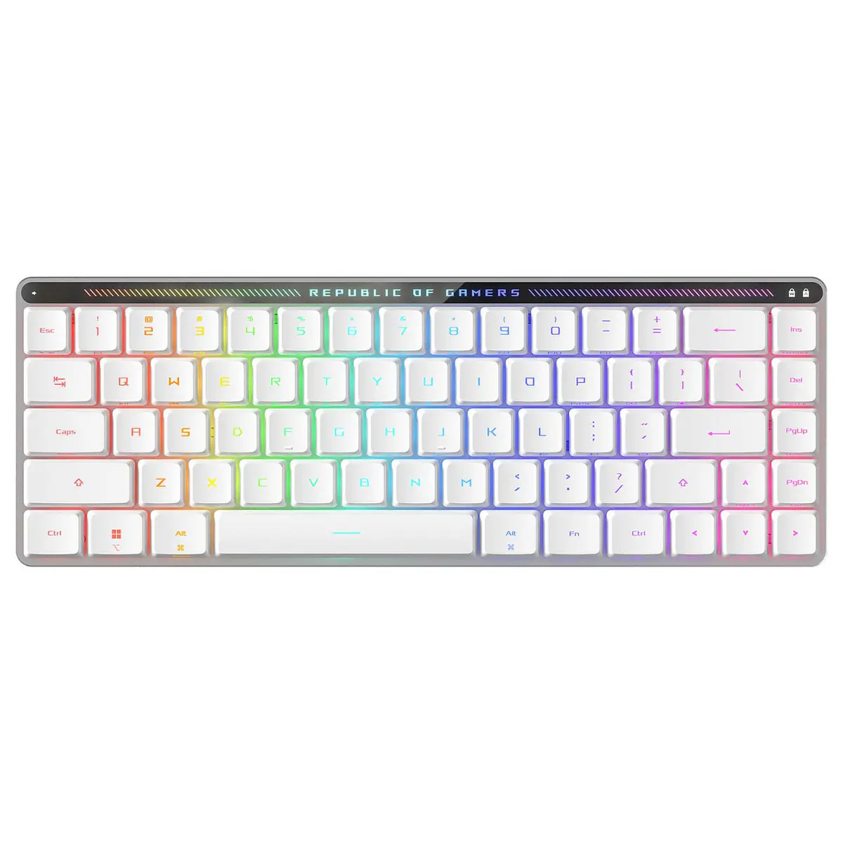ASUS ROG FALCHION RX LOW PROFILE – CLAVIER GAMING – USB – BLUETOOTH – 2.4 GHZ – RGB AURA – WHITE